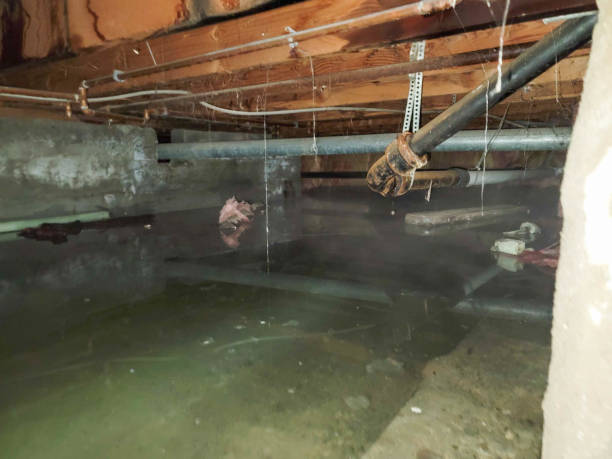 Water damage restoration mold remediation in Hayden, CO