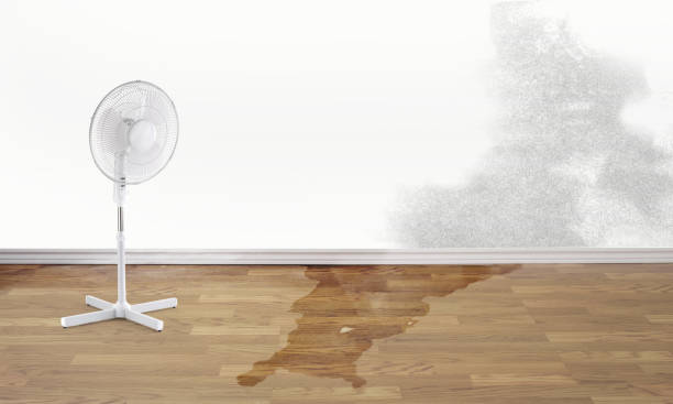 Best Emergency water damage restoration  in Hayden, CO