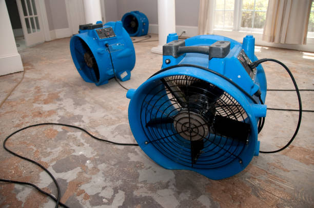 Hayden, CO Water damage restoration Company