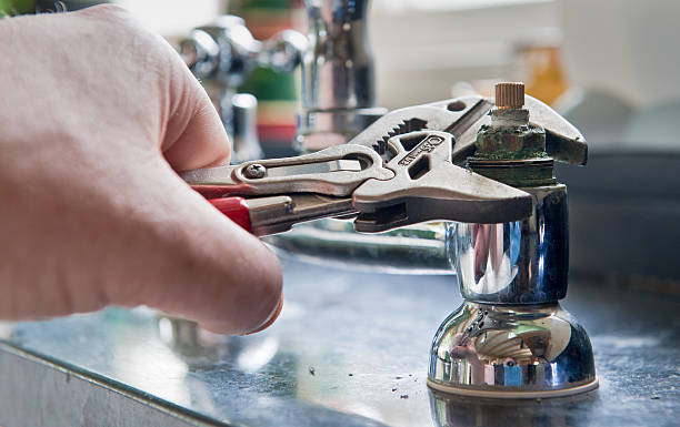 Best Professional water damage repair  in Hayden, CO