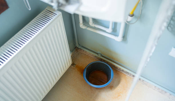 Best Water damage restoration near me  in Hayden, CO