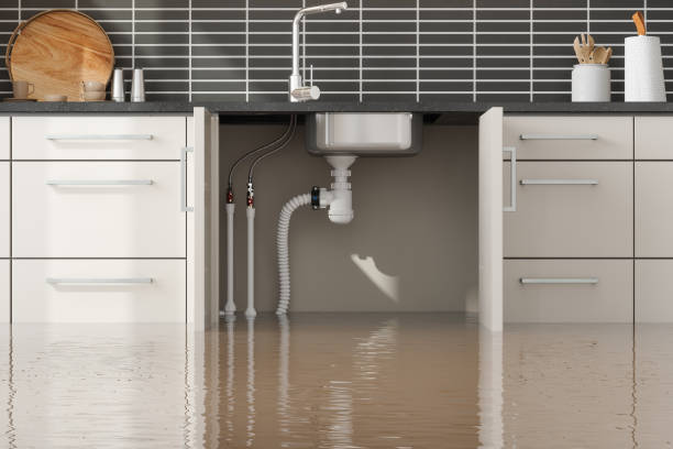 Best Local water damage restoration  in Hayden, CO