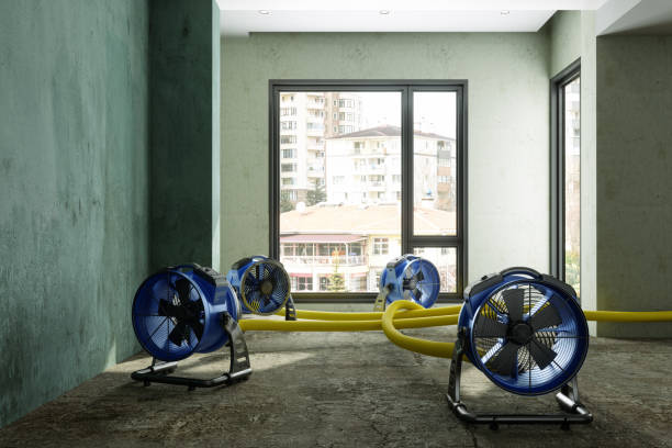 Best 24/7 water damage repair  in Hayden, CO